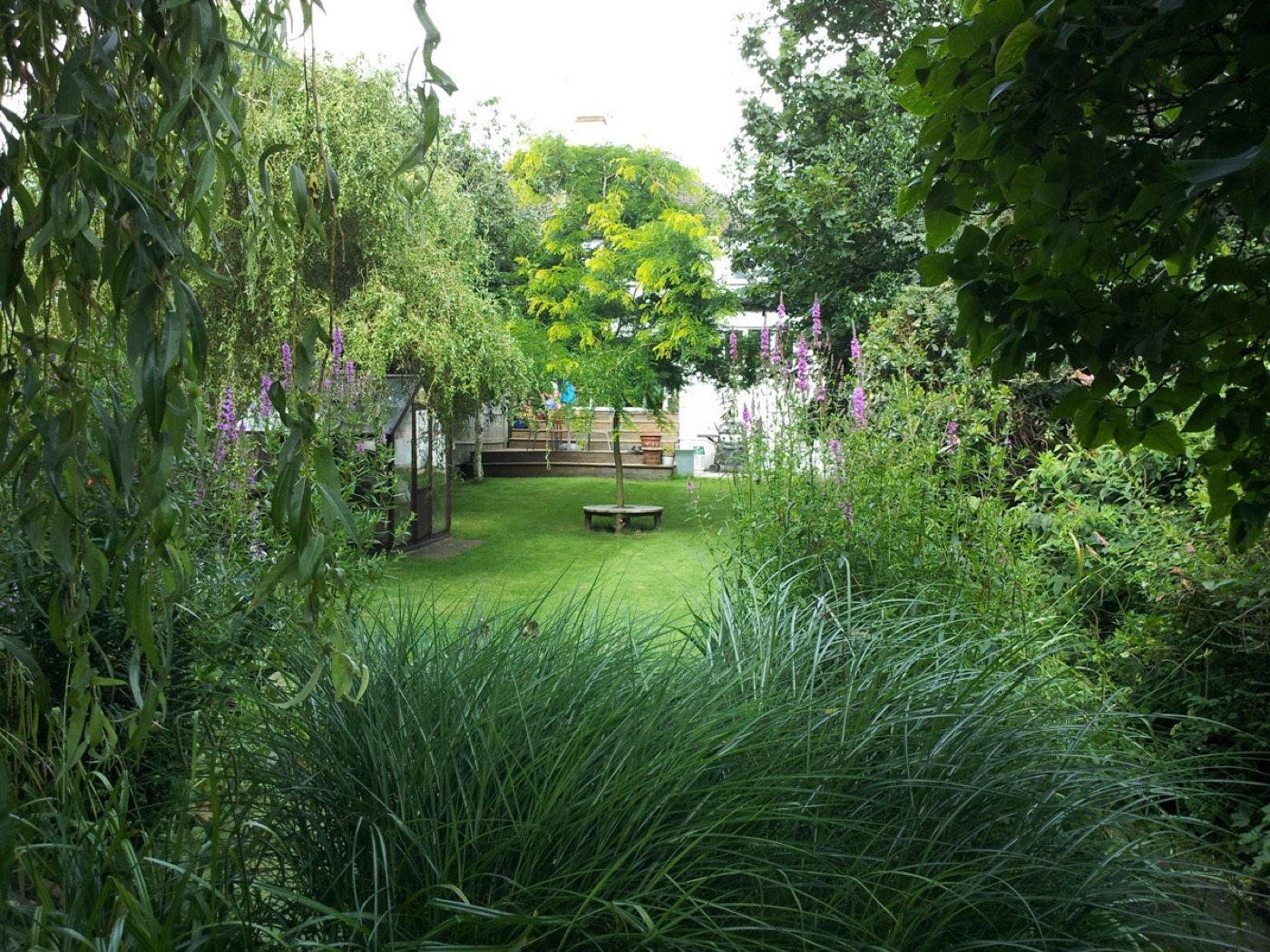 A lush, layered garden with grasses and foxgloves kept in order through the summer